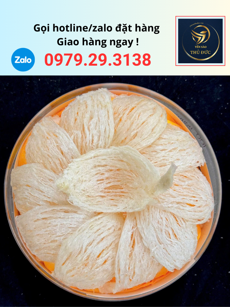 hop-yen-rut-long-100gram Hộp 100 gram yến rút lông loại 1