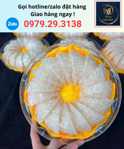 Hộp yến vụn đắp tổ đẹp