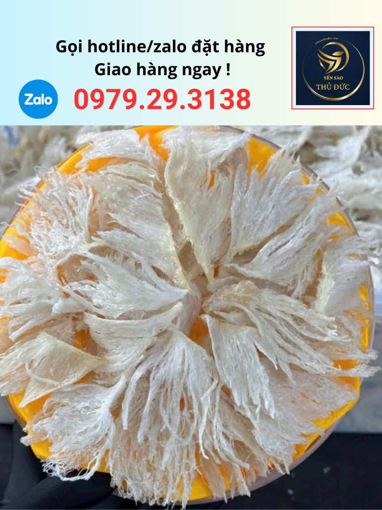 mua-chan-yen-rut-long Mua chân yến rút lông chất lượng tại TPHCM