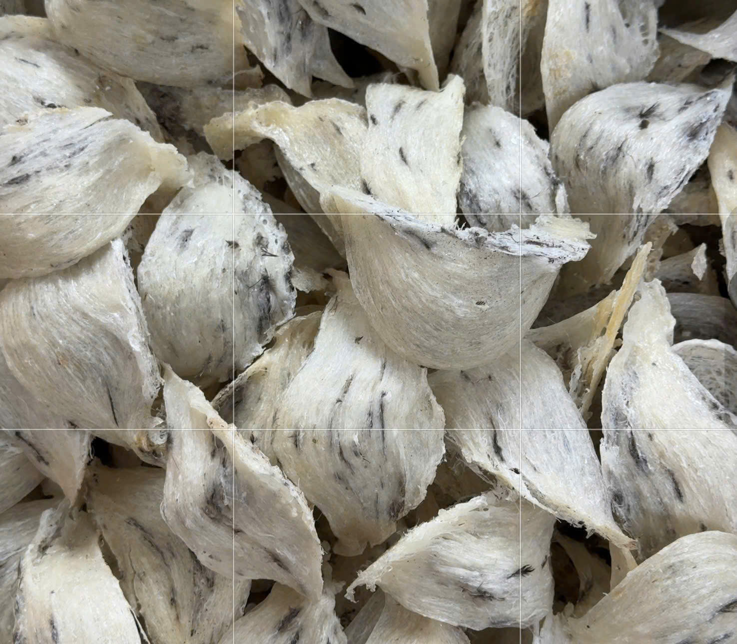 si-le-yen-tho-loai-1 Sỉ lẻ yến thô loại 1