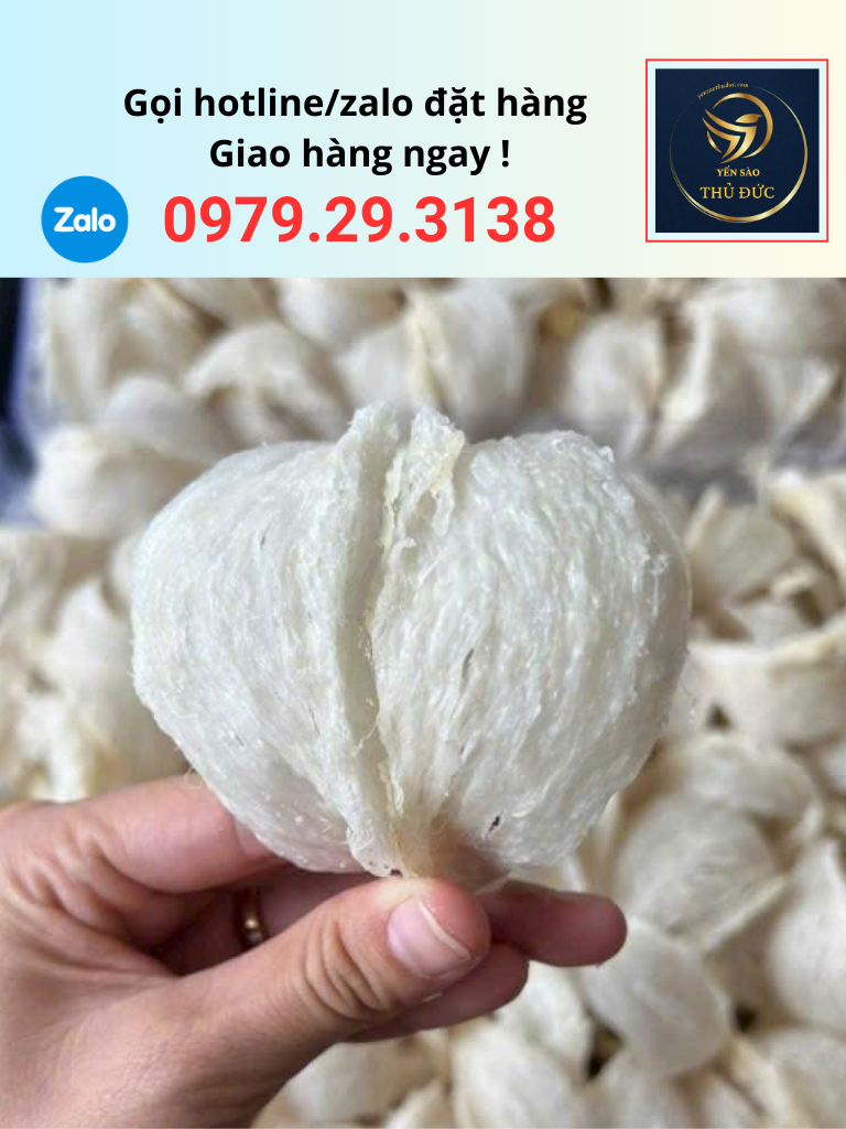 tai-yen-rut-long-loai-1 Tai yến rút lông loại 1 tại Yến sào Thủ Đức