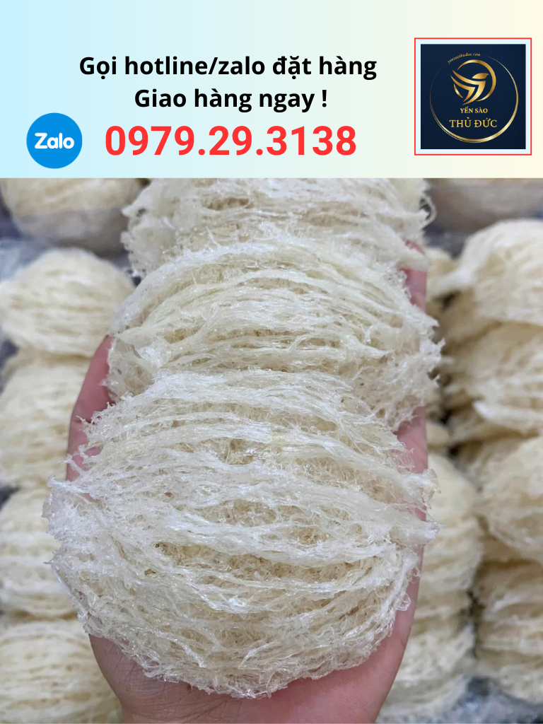 tai-yen-sao-tinh-che-soi-dai Tai yến sào tinh chế sợi dài