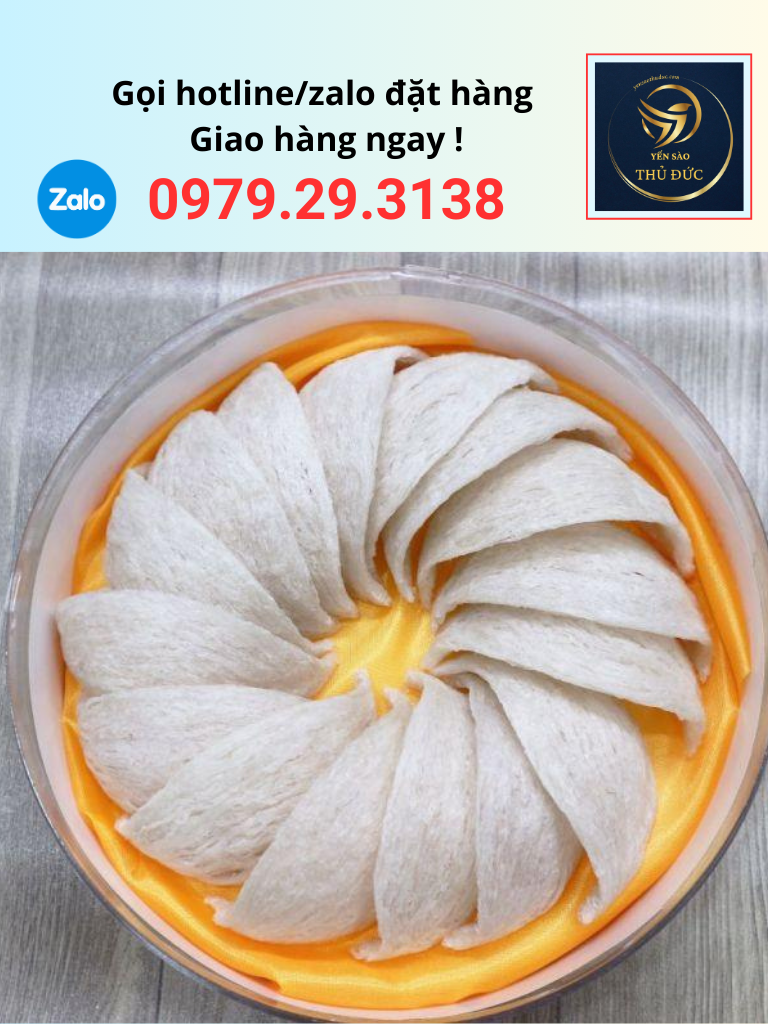 to-yen-dinh-hinh-5a-xuat-khau Tổ yến định hình 5A xuất khẩu