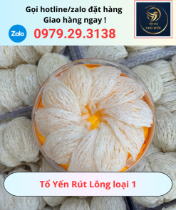 Tổ Yến Rút Lông loại 1