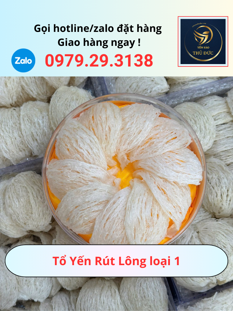 Tổ Yến Rút Lông loại 1