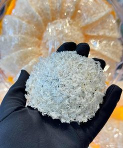 Tổ yến vụn Thủ Đức