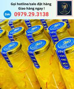 Yến chưng đông trùng hạ thảo nguyên chất