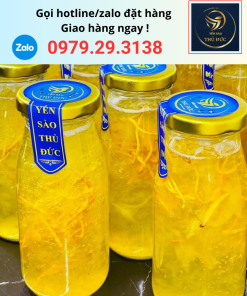 yến sào chưng đông trùng hạ thảo