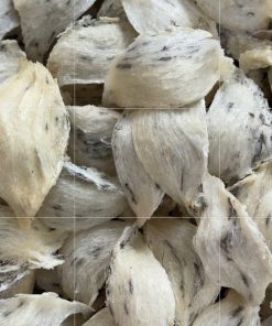 Yến sào Thủ Đức Khánh Hoà