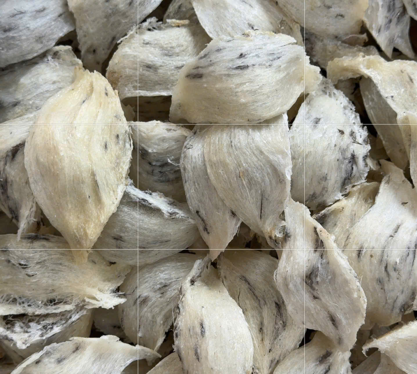 yen-sao-thu-duc-khanh-hoa Yến sào Thủ Đức Khánh Hoà