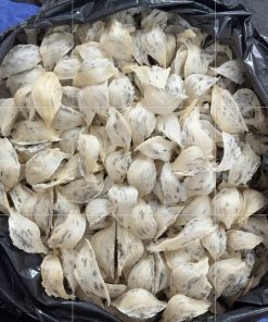 Yến thô loại 1 giá rẻ