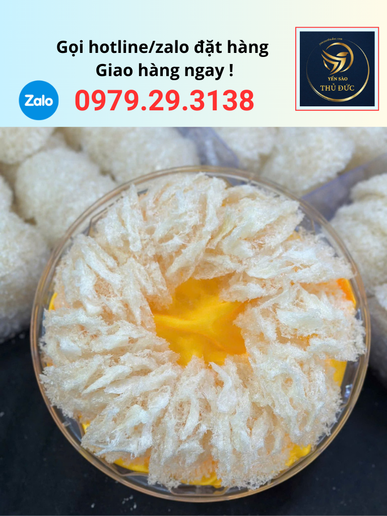 yen-tinh-che-soi-roi-phu-dau-chan-gia-re Yến tinh chế sợi rối phủ đầu chân giá rẻ