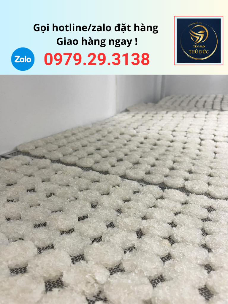 yen-vun-dap-vien-baby-gia-re Yến vụn đắp viên baby giá rẻ