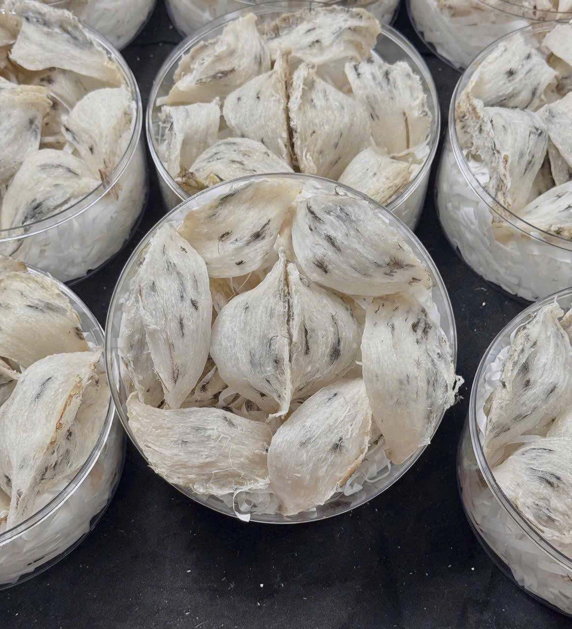 z7410751372801_7c2a9d27825d1257498546f5c5874a47